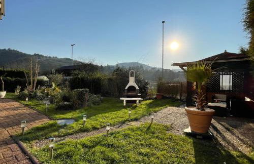 Moselgarten Bullay Zentral Grün Direkt an der Mosel - Foto 6