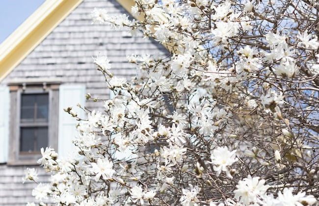 Avonlea Forest Hill Cottages - Foto 76