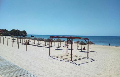 Torralta South Beach - Photo 23