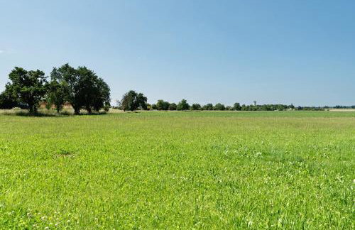 Ferienwohnung Hagen - Photo 20