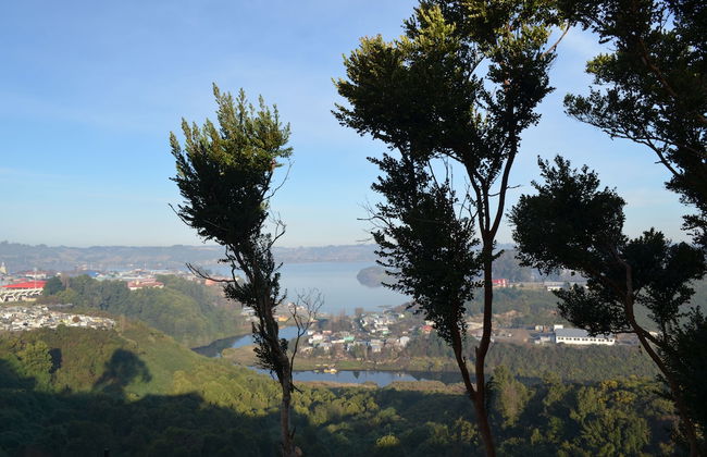 Casas Mutrem - Foto 46