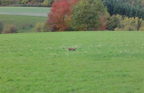 Holiday Home Moselle With Private Sauna - Foto 32