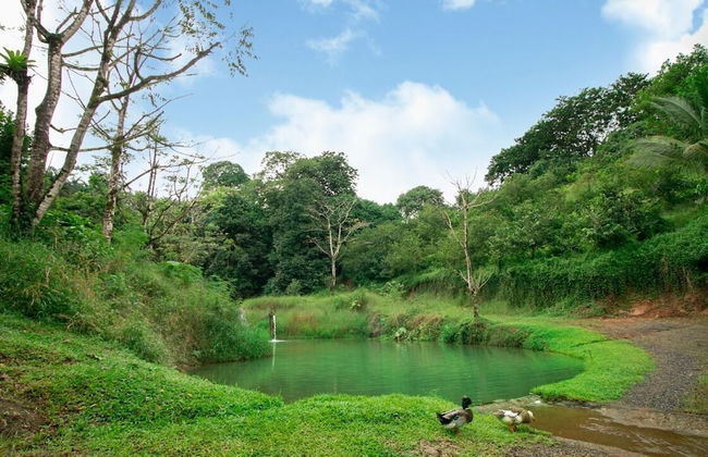 Cabañas del Lago - Foto 74