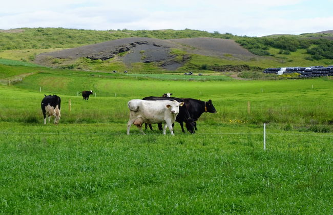 Miðdalskot Cottages - Foto 8
