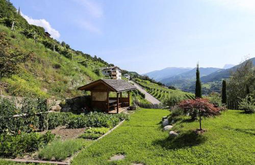 RÖCK Weingut - winery - Foto 7