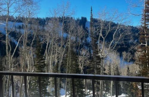 Eagle Point Ski Resort 13 Wooded Ridge Condos - Foto 14