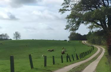 Ferienhaus Wichmannsdorf - Foto 28