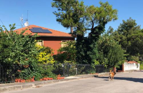 la casetta del tesoro - Foto 8