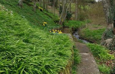 Relax in a 1 Bedroom Apartment near a country Pub - Foto 26