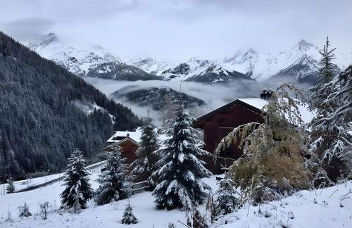 Chalet Refuge Loup Blanc Valfréjus - Foto 34