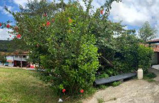 Casinha colibri - Photo 28