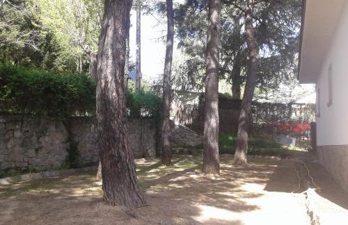 La "Casita" de la Sierra - Foto 38