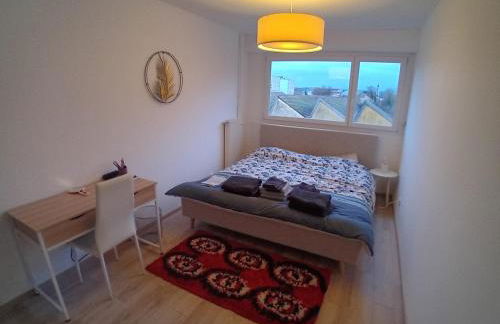 Vue du Doubs T4 cosy très bien situé - Foto 28