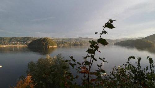 Domekwroznowiepl - Foto 3