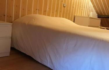 Studio 30m2 centre de Cusset - Foto 9