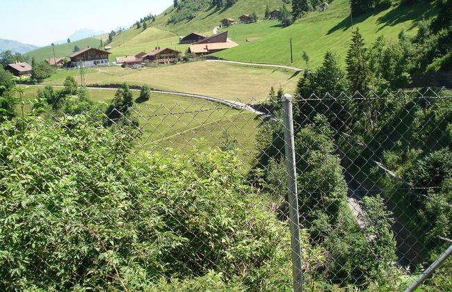 Bauernhaus Uf dr Flue - Foto 9