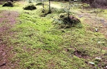 Srokowski Dwór 1 - Stara Kuźnia - Prywatna Sauna ! - Foto 37