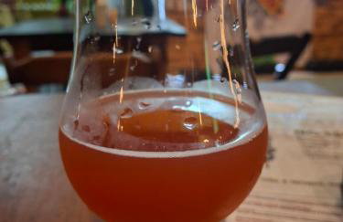 Apartamento Teresópolis alto - Foto 15