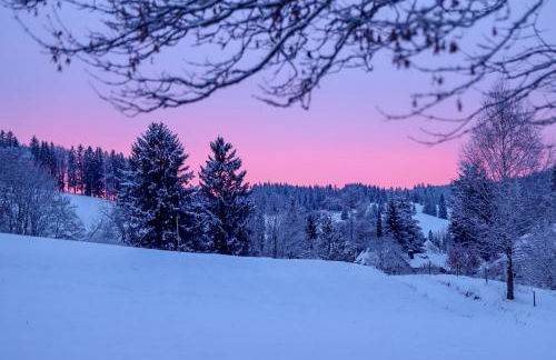 Gemütliches Ferienreihenhaus mit Holzkamin im Schwarzwald - Foto 8