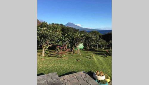 Summer house with BBQ and Garden - Foto 2, Garden