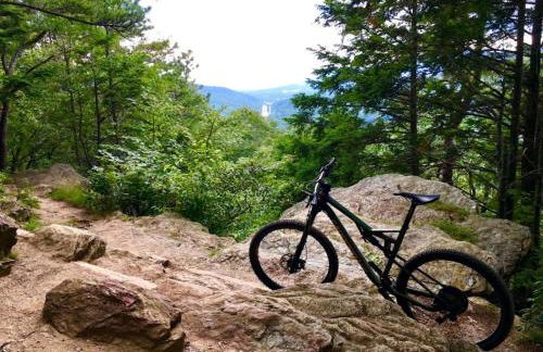 Creekside Base for Hiking and Biking, Near Downtown - Foto 37