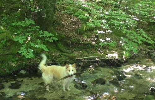 Casa Rural Lenco - Foto 55