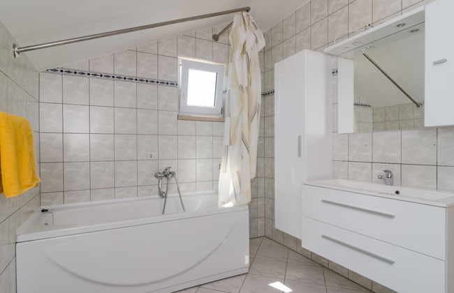 Plavac Mali - Foto 11