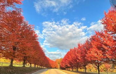 Stay in Ohiopyle in the center of it all, Ohiopyle, PA - Foto 29