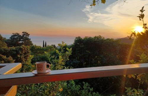 Zelis In Pelion Greece - Foto 8