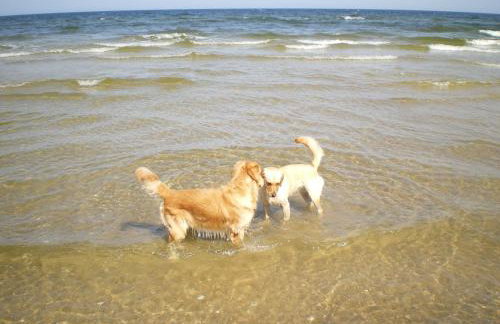 Ferienwohnung ÜckeRitz bei Familie Habben mit PKW Stellplatz - Foto 67