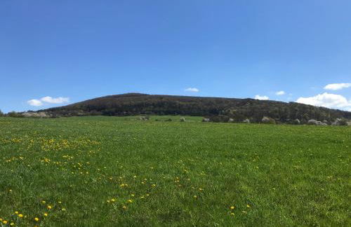 Rhön - Nestchen - Foto 25