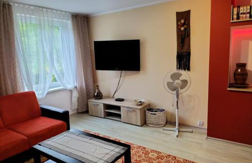 Apartament TARA - Foto 19