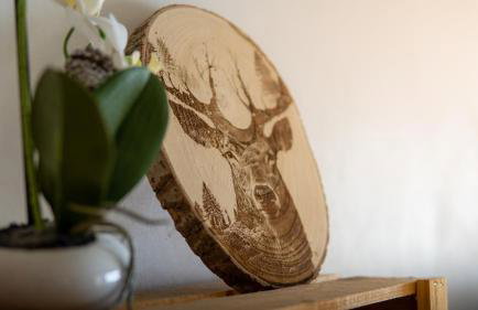 Les Fougères - Foto 14