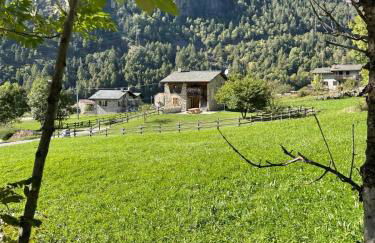 Casa Grailè - Alpine apartment in Valtellina - Photo 2