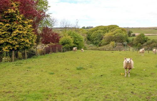 Kirkland Howe Cottage - Foto 56