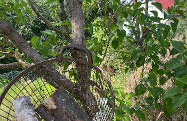 Apartment ForYou - Foto 12