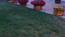 Apartamenty Pod Magnolią - Foto 2