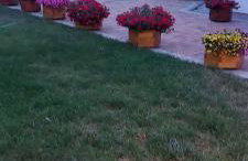 Apartamenty Pod Magnolią - Foto 2