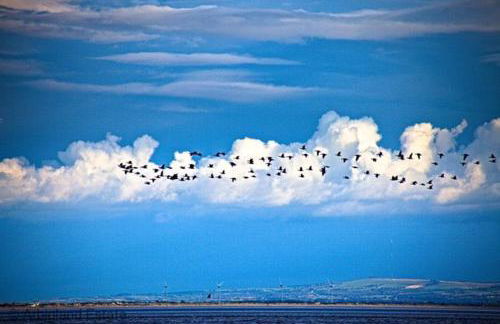 Beachcombers - Foto 60