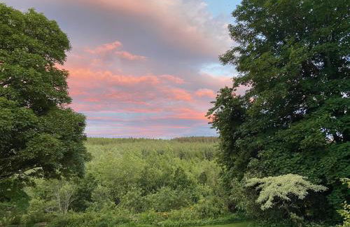 Kirkton Cottage whole house in Cairnie Aberdeenshire - Photo 19