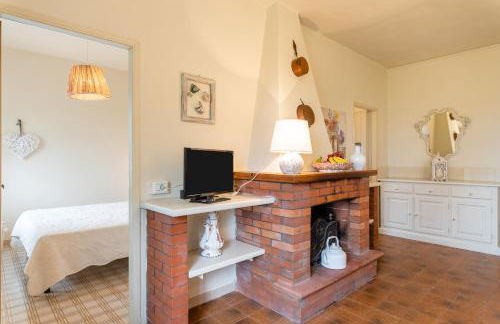 Sassi Scritti - Acero Montano - Foto 12