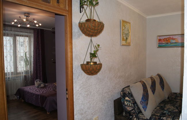 Apartment on Radischeva 23 apt 20 - Photo 27