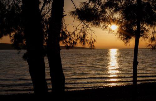 Bura house - Foto 59