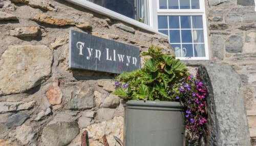 Tyn Llwyn - Foto 4