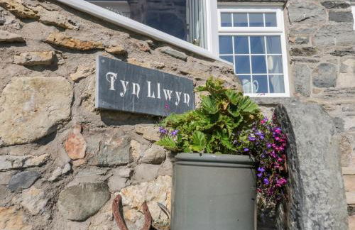 Tyn Llwyn - Foto 4