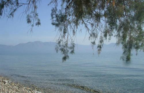 Σοφίτα Μαρτά - Foto 45