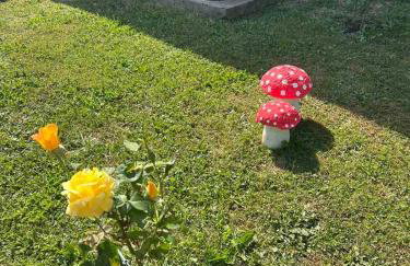 Kuća za odmor Family Fužine - Foto 41