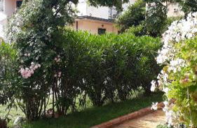 Villa Regina Accommodation - Foto 37