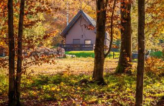 Domek w lesie DiABELSKi KOCiOŁEK - Foto 2