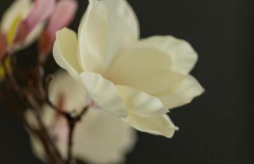 Schöne Ferienwohnung in Oberkotzau am Fichtelgebirge - Foto 35